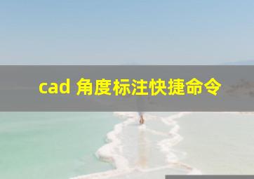 cad 角度标注快捷命令